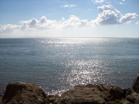 From the Coast Highway ( Washington State)