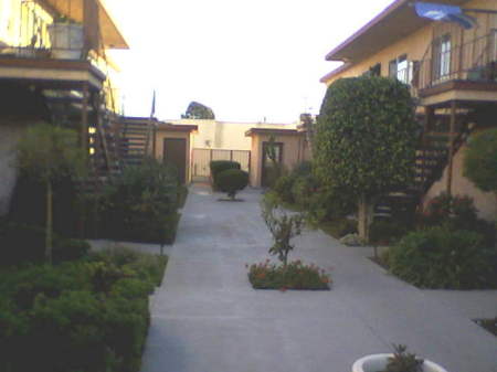 My new courtyard