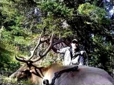 2009 Bull Elk