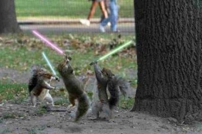 Jedi fight