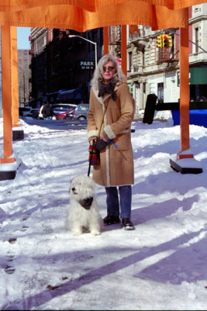 NYC after the snow...