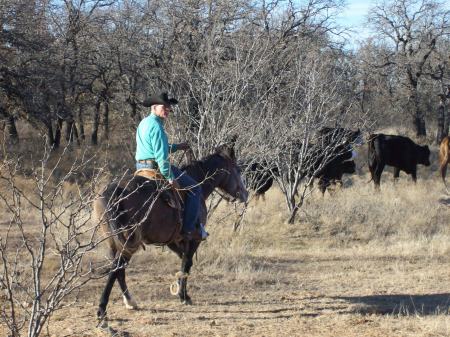 our cattle ranch