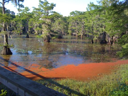 Nacadoches, TX