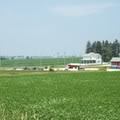 Field of Dreams Dyersville Iowa