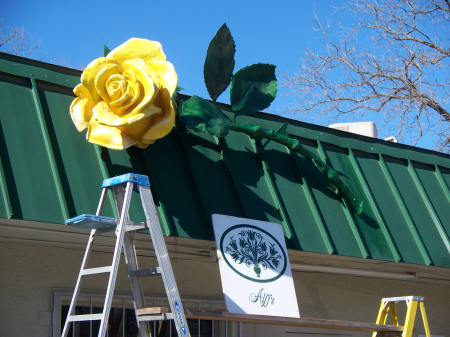 Alf's Florist Rose