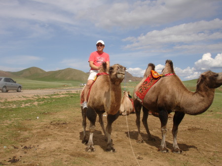 Camel ride in Mongolia