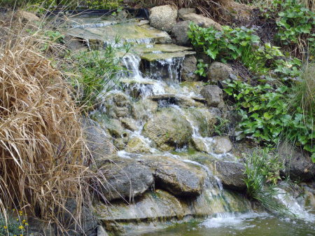 Pond Waterfall