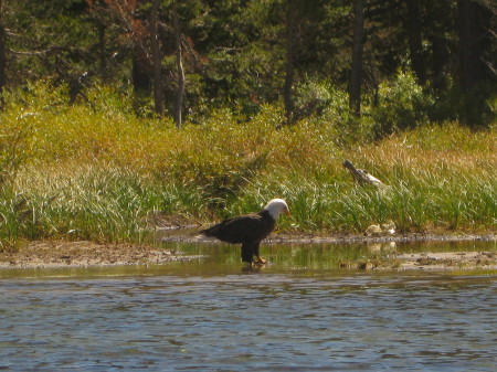 Kayaking Lake Mary--Sept 2009