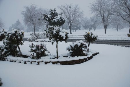 Golf Course Snow