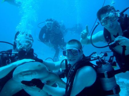 Shark in Belize