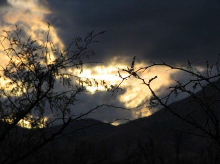 Backyard Sunset