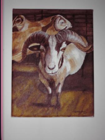 Painting of our rams