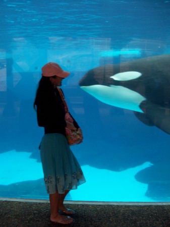 Kiss me Shamu!