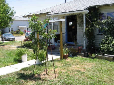 Rosie the Riveter lived next door!