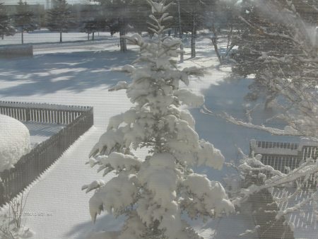 Winter in Misawa, Japan