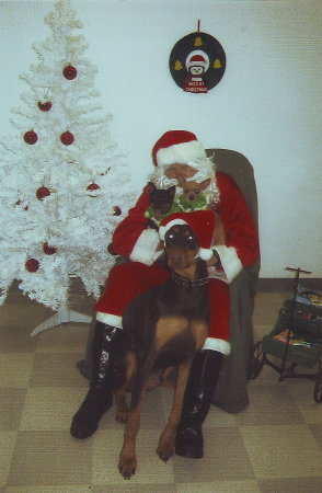Duke, Jake & Dolly w/Petland Santa