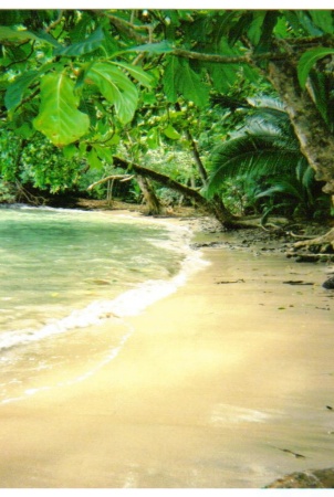 Panamanian beach