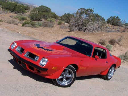 1975 PONTIAC TRANS AM