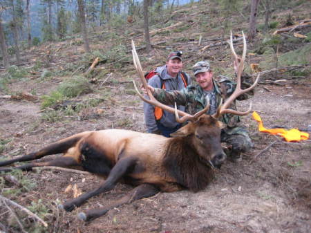 HUNTING IN MT 2008