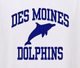 Des Moines Elementary School Logo Photo Album