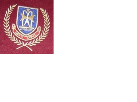 Hugenote High School Logo Photo Album