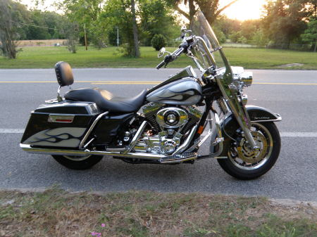 My Harley Road King