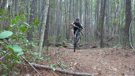 log ride