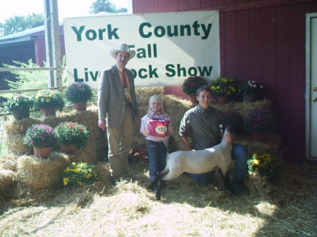 County livestock show