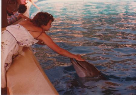 Sandy and the Dolphin - lol