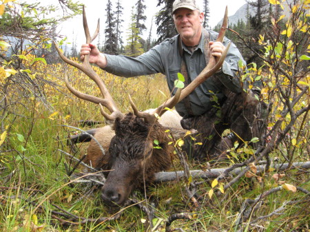 Bristish Columbia Elk - 2009