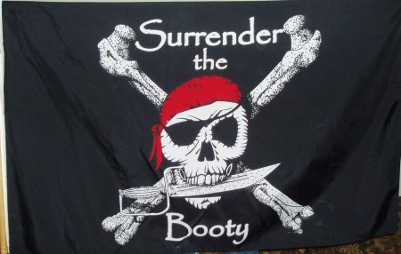 Summer of 2009 Theme Flag