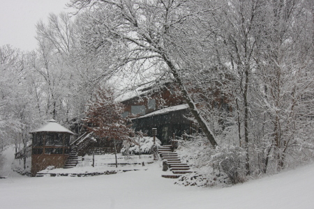Back of my house - winter 2009/2010