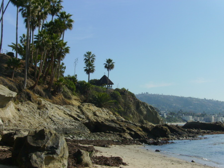 Laguna Beach, December 2008