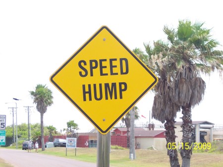 speed bump bs speed hump