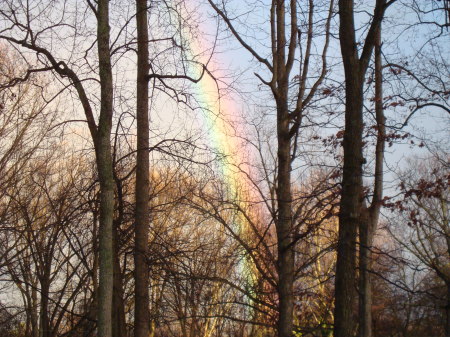 Rain bow in my front yard