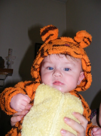 Egbert as Tigger