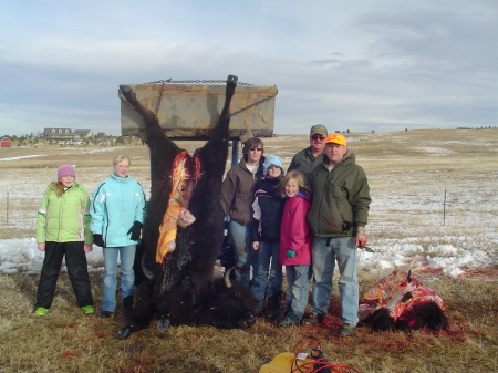 The Great American Bison Hunt