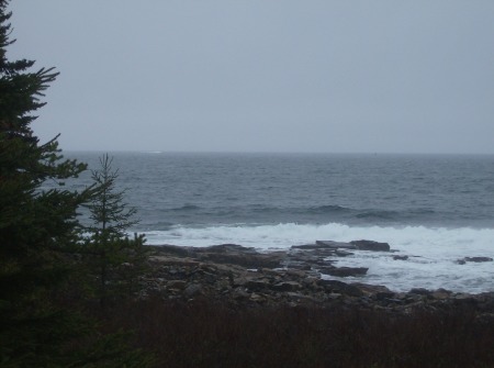 The Maine coast