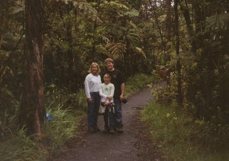 Big Island Fern Forest