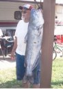 40lb. catfish Mike caught this summer