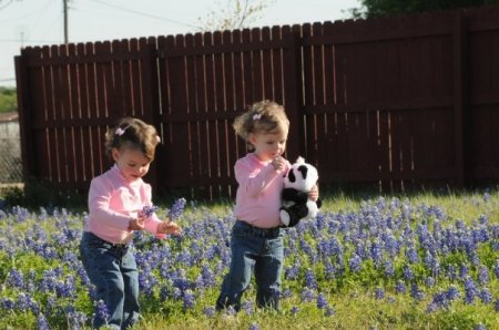 Ashlyn & Alyvia in the Texas bluebonnets