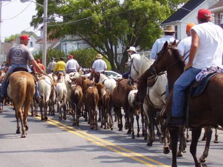 Pony swim 2009 - down south main st