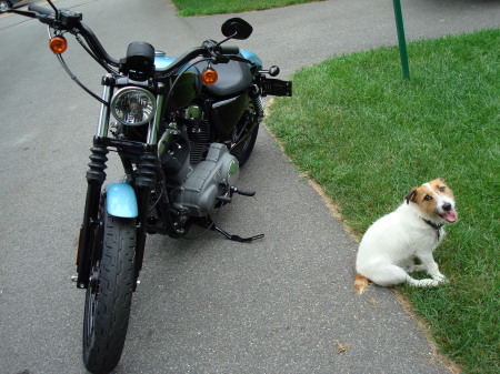 MY BIKE & MY DOG