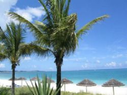Cayman Islands Carribean Beach