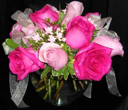 my pink roses