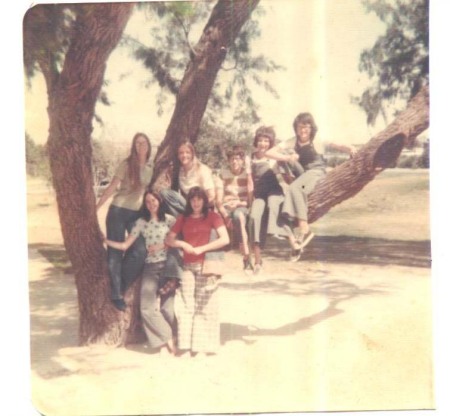 seven kids on a tree