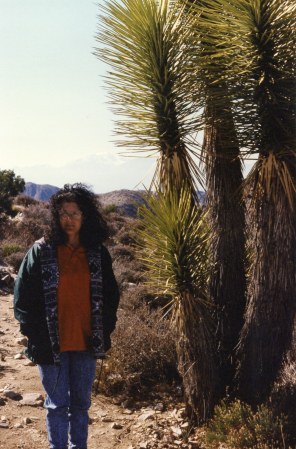 Joshua Tree National Park, California  1996