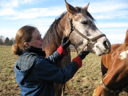 Arabian mare that I recently sold