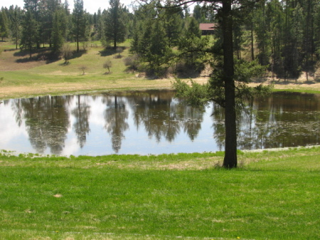 View of our pond in Spring