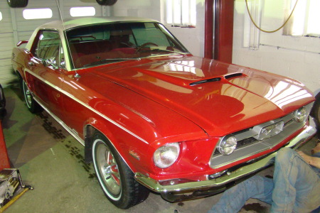 1967 Mustang w/ 351 clev.
